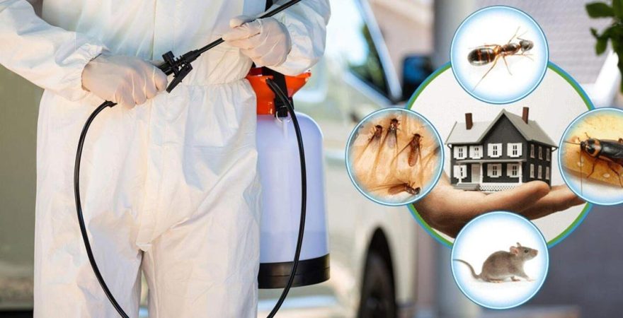 Bahşili Böcek İlaçlama