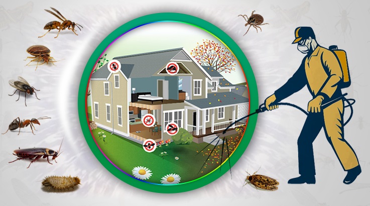 Bahşili Böcek İlaçlama