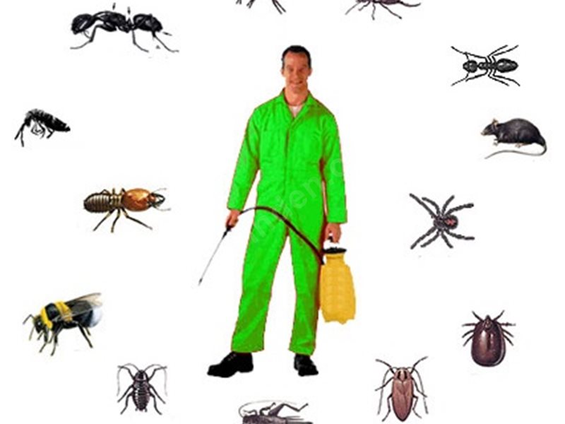 Bahşili Böcek İlaçlama